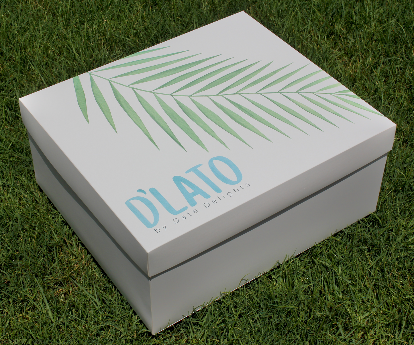 D'Lato Sundae Set