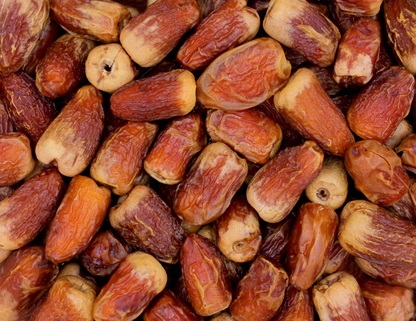 Plain Sagai dates